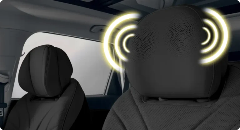 Headrest Speakers